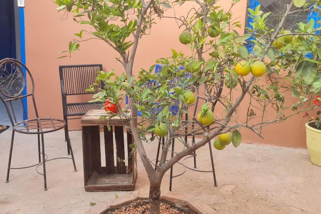 Holiday home La Petite Beldi Essaouira
